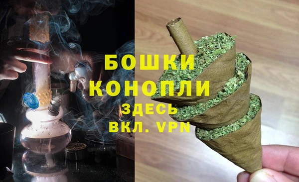 гидра Касимов