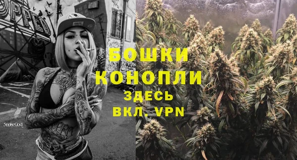 амф Козельск