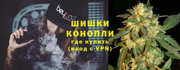 ПСИЛОЦИБИНОВЫЕ ГРИБЫ Карталы