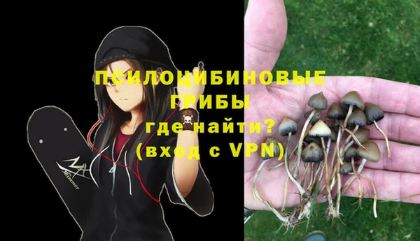 не бодяженный Карпинск