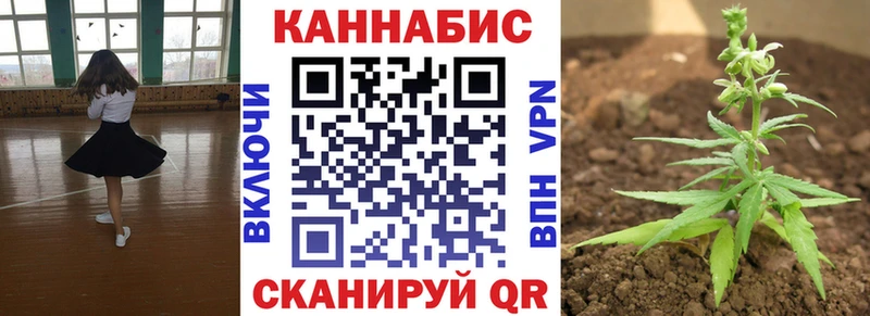 Шишки марихуана Amnesia  где купить наркотик  Красновишерск 